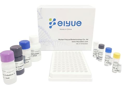 il 6 elisa kit price